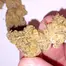 Patient Image of Dalgety HSOR T25 High Society (Oracle) Medical Cannabis