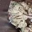 Patient Image of Soma OG MCD T30 M.A.C. Deluxe Medical Cannabis