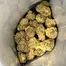 Patient Image of Scoops GCR T27 Gas Cream Cake Medical Cannabis