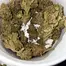 Patient Image of Adven® EMT-3 T20 Glory Glue Medical Cannabis