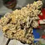 Patient Image of 4C Labs Premium ATD T29 Alaskan Thunder Medical Cannabis