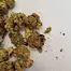 Patient Image of Medicus FC T27 Fire Cookies Medical Cannabis
