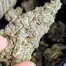 Patient Image of Mamedica® Organic SMO T25 Sherb Master OG Medical Cannabis