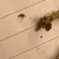 Patient Image of 4C Labs BB T23 Bubble Bath Medical Cannabis