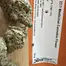 Patient Image of 4C Labs Core MAC T27 Miracle Alien Cookies Medical Cannabis