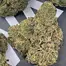 Patient Image of Green Karat LM T27 London Marker Medical Cannabis