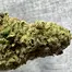 Patient Image of Khiron HK T20 Hindu Kush Medical Cannabis