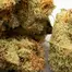 Patient Image of IPS MC T22 Mandarin Cookies Medical Cannabis
