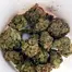 Patient Image of Canopy Growth® LSK T16 Lemon Skunk Medical Cannabis