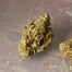 Patient Image of 4C Labs MSN T31 Morning Sun Medical Cannabis