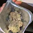 Patient Image of Greyscales FJ T26 Flapjacks Medical Cannabis