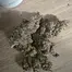 Patient Image of Craft Botanics® SBF T30 Superboof Medical Cannabis