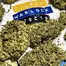 Patient Image of Tilray® T8:C8 Warlock Medical Cannabis