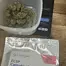 Patient Image of EastCann SP T31 Strawberry Pavé Medical Cannabis