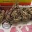 Patient Image of Superseed GRP CKS T27 Grape Cookies Medical Cannabis