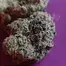 Patient Image of Headstone Cannabis LG T29 Lamb of God Medical Cannabis