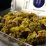 Patient Image of ECS Pharma Lite C16 Maluti CBD Medical Cannabis