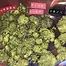 Patient Image of Aurora® PNK T24 Pink Kush Medical Cannabis