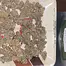 Patient Image of Therismos Smalls GRG-S T22 Grape Galena Medical Cannabis