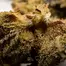 Patient Image of IPS PC T23 Permanent Chimera Medical Cannabis