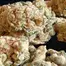 Patient Image of Greyscales GHZ T28 G13 Haze Medical Cannabis