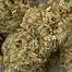 Patient Image of Medi GR T20 Golden Runtz Medical Cannabis
