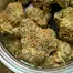Patient Image of Kasa Verde WCK T29 White Cookies Medical Cannabis