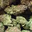 Patient Image of Noidecs T22 Sour Kush Medical Cannabis