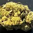 Patient Image of EastCann SP T31 Strawberry Pavé Medical Cannabis