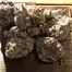 Patient Image of Mamedica® MA1 T25 Miracle Alien Cookies Medical Cannabis