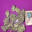 Patient Image of 4C Labs Craft Select MJR T27 MJR Runtz Medical Cannabis