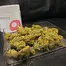 Patient Image of Adven® Cura-5 T18 Three Green Kings Medical Cannabis