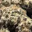 Patient Image of Green Karat KS T27 King Sherb Medical Cannabis