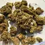 Patient Image of Big Narstie Medical AM T23 Ammy Medical Cannabis