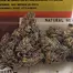 Patient Image of Superseed GRP CKS T27 Grape Cookies Medical Cannabis