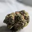 Patient Image of Big Narstie Medical PG T25 Pink Gasoline Medical Cannabis