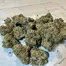 Patient Image of Plantations Cérès CJ T27 Cap Junky Medical Cannabis