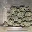 Patient Image of Curaleaf® GG4 T23 Gorilla Glue #4 Medical Cannabis