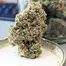 Patient Image of Grow® Pharma HJ T16 Herijuana Medical Cannabis