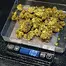 Patient Image of Aurora® Pedanios LA T20 L.A. Confidential Medical Cannabis