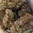 Patient Image of Aurora® T22 Delahaze Medical Cannabis