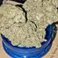 Patient Image of Papers™ YC T29 Yoda Cap Medical Cannabis