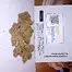 Patient Image of Dalgety HSOR T25 High Society (Oracle) Medical Cannabis