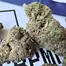 Patient Image of Mamedica® PSL T25 Purple Punch Medical Cannabis