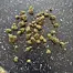 Patient Image of Green Karat LM T27 London Marker Medical Cannabis