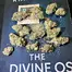 Patient Image of Headstone Cannabis WP T28 Wedding Punch Medical Cannabis