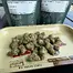 Patient Image of Common Roots MW T25 Maui Wowie Medical Cannabis