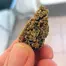 Patient Image of Khiron OGK T22 OG Kush Medical Cannabis