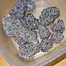 Patient Image of Phant INSX T20 Intersteller Medical Cannabis