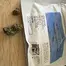 Patient Image of Curo® SB T22 Superboof Medical Cannabis